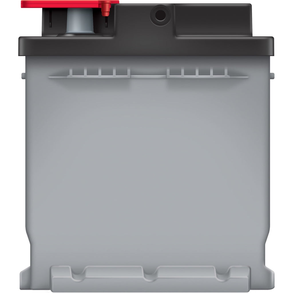 EverStart Platinum AGM Battery, Group Size H6