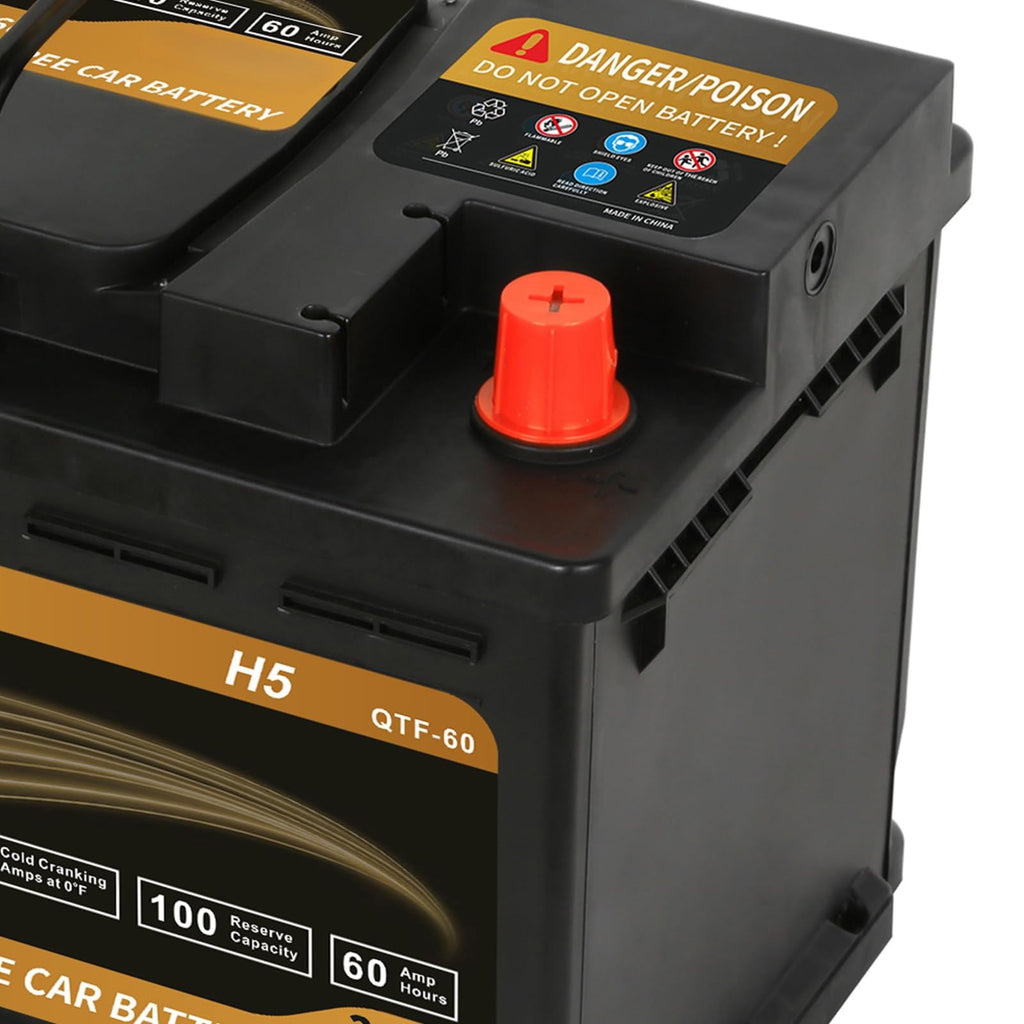 Anlibatt Platinum AGM Group 49 Battery, 12 Volt Rechargeable Automotive Batteries for Car, H8 900CCA 95Ah 160RC