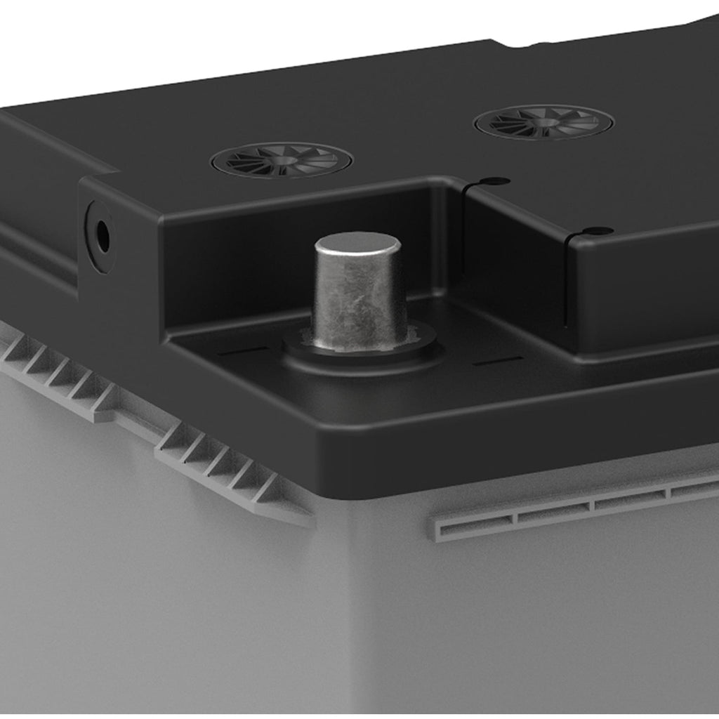 EverStart Platinum BOXED AGM Battery, Group Size H8 / LN5 / 49 12 Volt, 900 CCA