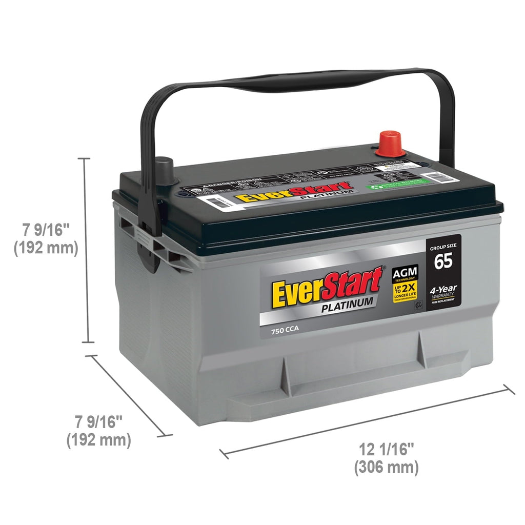 EverStart Platinum AGM Battery, Group Size 65