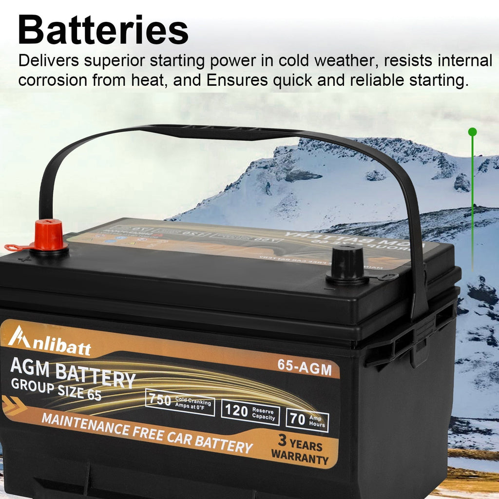 Anlibatt Platinum AGM Group 49 Battery, 12 Volt Rechargeable Automotive Batteries for Car, H8 900CCA 95Ah 160RC