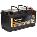Anlibatt BCI Group 49 Battery, AGM 12 Volt Rechargeable Automotive Batteries for Car, H8 900CCA 95Ah 160RC Maintenance Free