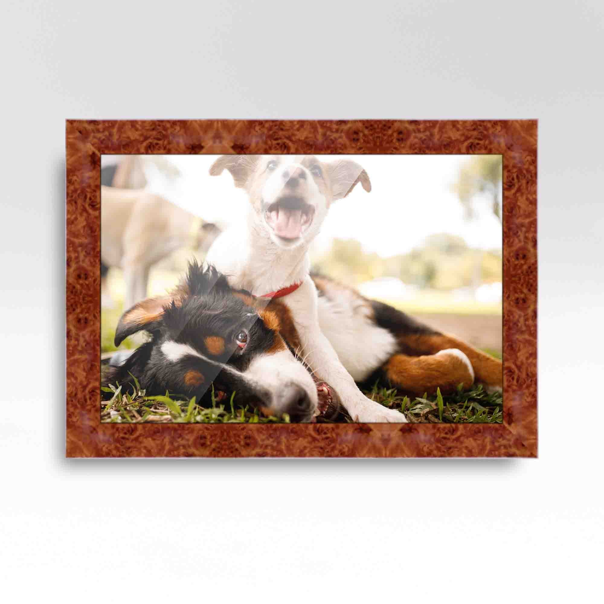 40x28 Bronze Brown Real Wood Picture Frame Width 1.25 inches | Interior Frame Depth 0.75 inches |