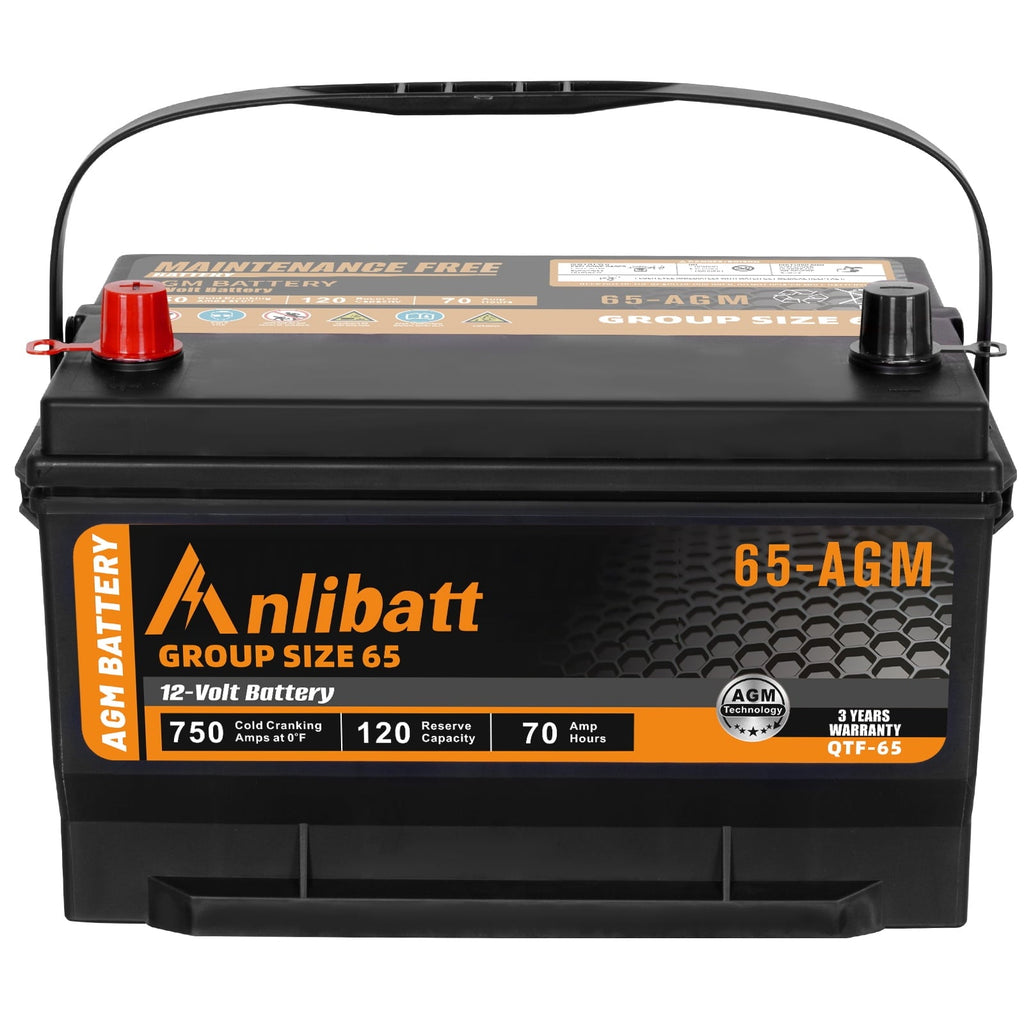 Anlibatt BCI Group 49 Battery, AGM 12 Volt Rechargeable Automotive Batteries for Car, H8 900CCA 95Ah 160RC Maintenance Free