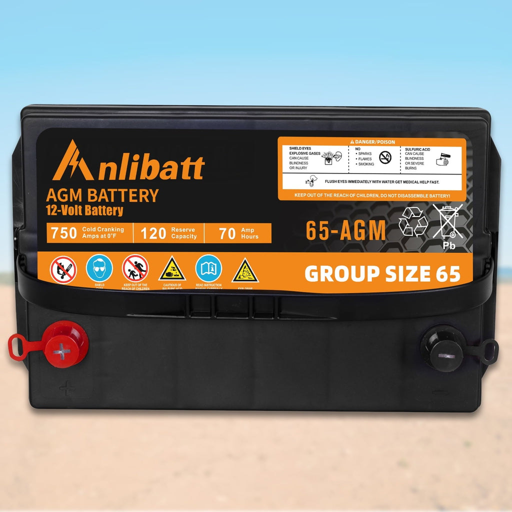 Anlibatt BCI Group 49 Battery, AGM 12 Volt Rechargeable Automotive Batteries for Car, H8 900CCA 95Ah 160RC Maintenance Free